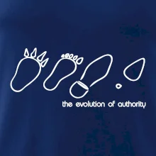 Evolution of authority