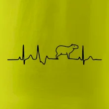 Ekg Capybara