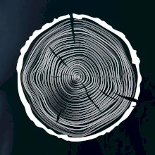 Letokruhy 50 bez veku