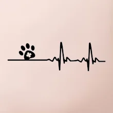 Veterinár EKG