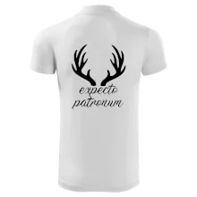 Harry - Expecto patronum Harry - Expecto patronum