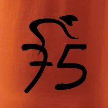 Cyklista oslavuje sedemdesiatpäťpäťky (75)