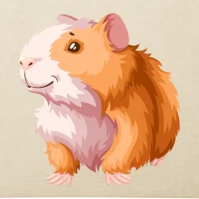 Morča - kreslené, bielo oranžové