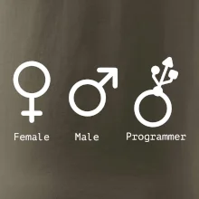 Female male programmer