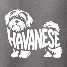 Havanese nápis v tele