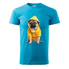 Mops v mikine Mops v mikine