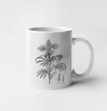 Konope kvietok čiernobiely  