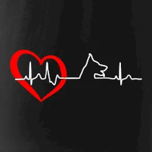 Nemecký ovčiak ekg