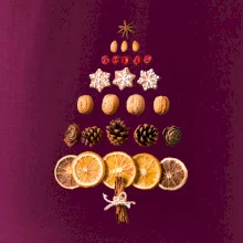 Vianočný stromček zo sušených plodov