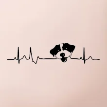 Jack Russell Teriér hrubosrstý Ekg