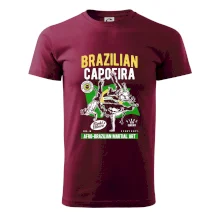 Brazilian Capoeira