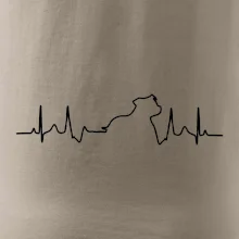 Stafordšírsky bulteriér ‎ EKG