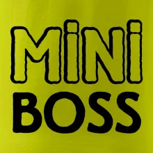 Big boss mini boss