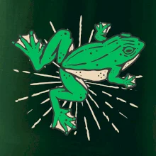 Žaba zelená kreslená