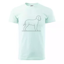 Lagotto romagnolo stojaci