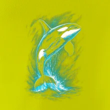 Obrázok Kosatka v skoku