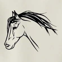 Kôň - hlava celá