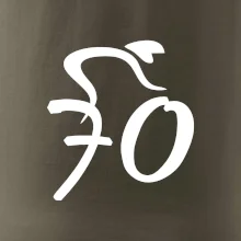 Cyklista oslavuje sedemdesiatku (70)