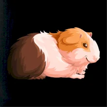 Morča - kreslené z boku