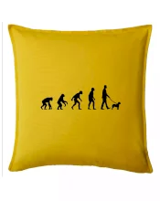 Lagotto romagnolo Evolúcia muž / žena