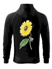 Slnečnica otočená