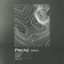 Plechý - vrstevnice v obdĺžniku