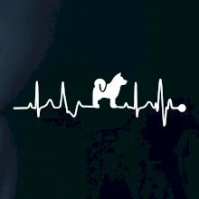 Shiba-Inu EKG Shiba-Inu EKG