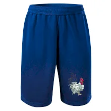 Kohút kreslený biely