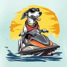 Chrt na vodnom skútri