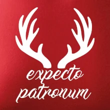 Harry - Expecto patronum Harry - Expecto patronum