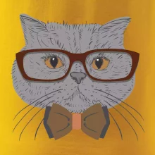 Hipster britská modrá Hipster britská modrá