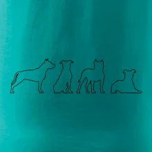 Americký stafordšírsky teriér v rôznych pozíciách