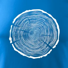 Letokruhy 100 bez veku