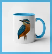 Ľadnáčik kreslený