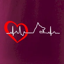 Nemecký ovčiak ekg