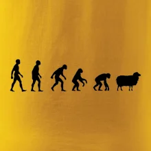 Evolúcia ovce Evolúcia ovce