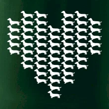 Jazvečík - Srdce Jazvečík - Srdce