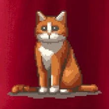 Mačka hrdzavá Mačka hrdzavá