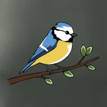 Sýkorka modrinka na vetve