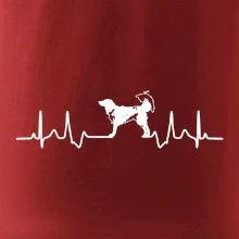 Český strakatý pes EKG