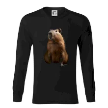 Kapybara spredu čierna fotka Kapybara spredu čierna fotka