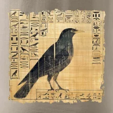 Egyptské hieroglyfy vták Egyptské hieroglyfy vták