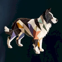 Border kólia zlepená z papiera