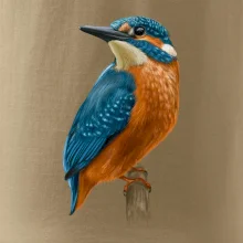 Ľadnáčik kreslený Ľadnáčik kreslený