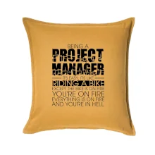 Being A Project Manager - bike