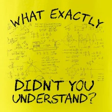 What exactly didn't you understand - physics