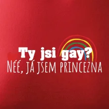 Gay princezna Gay princezna