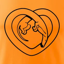 Jazvečík srdca - obrys