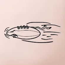 Americký futbal letiaca lopta