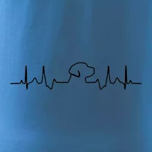 Labradorský retriever‎ EKG